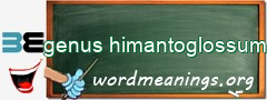 WordMeaning blackboard for genus himantoglossum